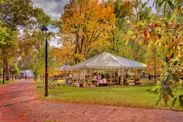 Franklin Square in Fall