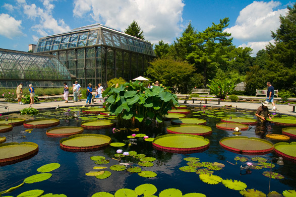 Spring blooms at Longwood Gardens