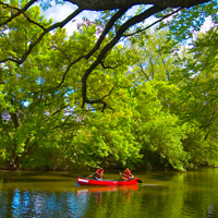 Northbrook Canoe Company
