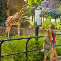 Philadelphia Zoo